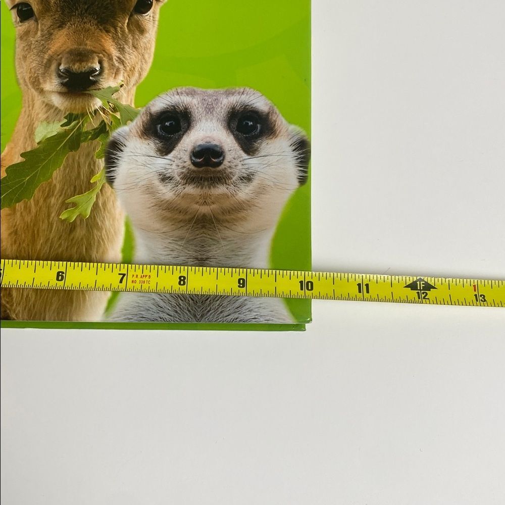 Master Books God's Big Book of Animals - Educational Book for Kids-Homeschool - Picture 16 of 16